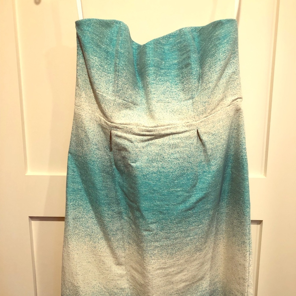 Liquid Ombré Mini Dress